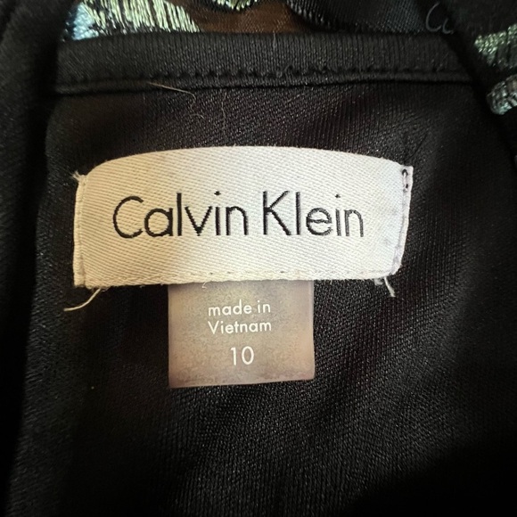 Calvin Klein Dress embroidered elevated by peekaboo illusion mesh size 10 - Picture 8 of 12